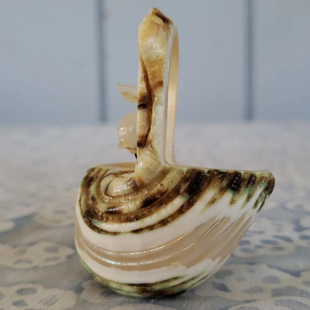 Carved Seashell with Rabbit - Picture 8 of 15